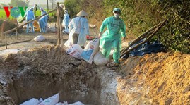 Ảnh minh họa Ảnh minh họa