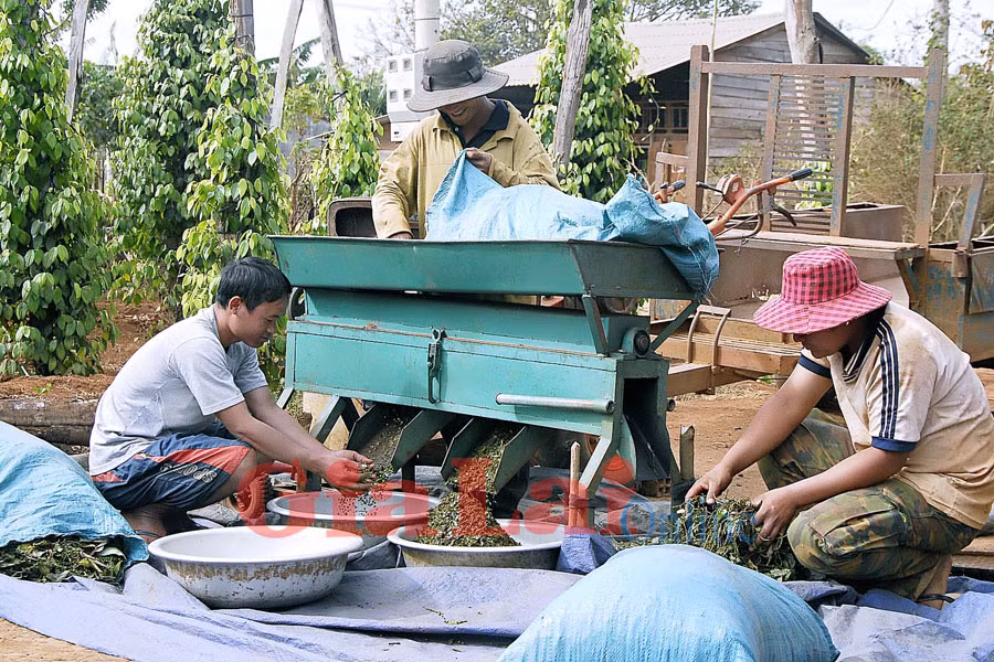 Ảnh: Đức Thụy Ảnh: Đức Thụy