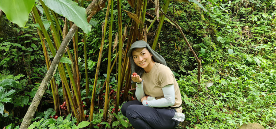 Một vị khách thích thú khi đến thăm vườn thảo quả của ông Minh. Ảnh: Quang Viên