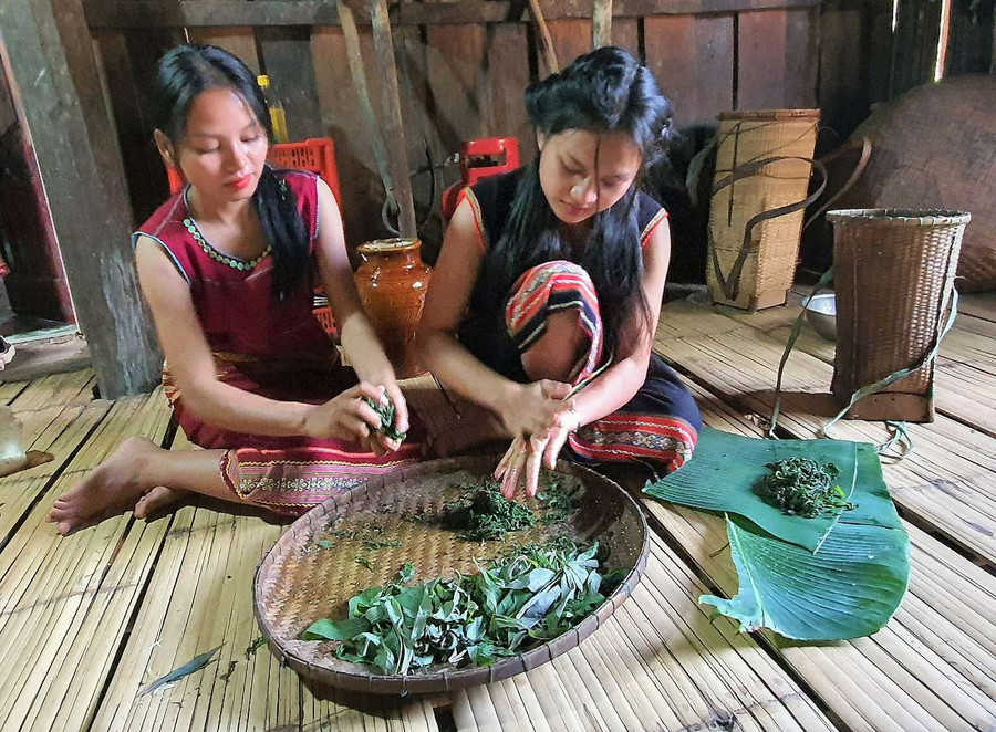 Chà xát lá mì để ủ chua. Ảnh: TT Chà xát lá mì để ủ chua. Ảnh: TT