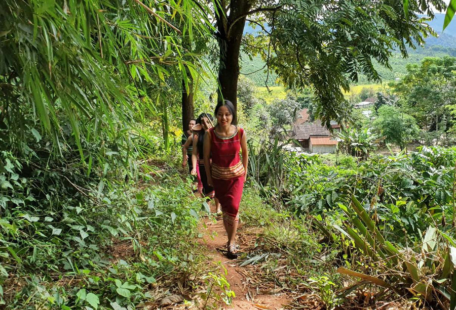 Lên rẫy hái lá mì. Ảnh: T.T Lên rẫy hái lá mì. Ảnh: T.T