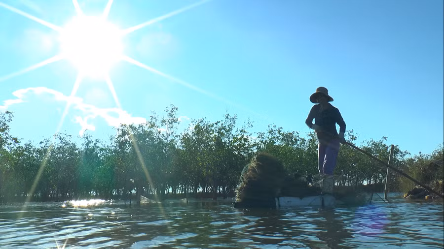Người dân Bắc Phước sống nhờ đánh bắt cá tôm ở rừng bần chua, nhưng không bao giờ xâm hại đến đàn cò. Ảnh: Thanh Lộc