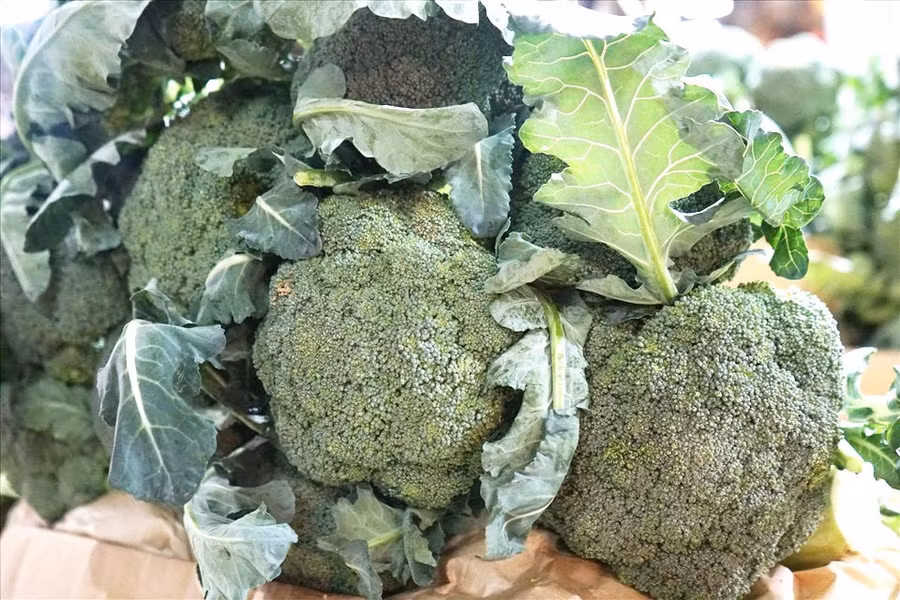 Súp lơ xanh là thực phẩm có tính kiềm. Ảnh: Thanh Ngọc