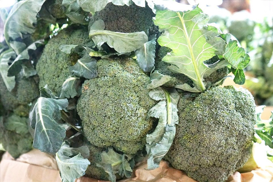 Súp lơ xanh là thực phẩm có tính kiềm. Ảnh: Thanh Ngọc Súp lơ xanh là thực phẩm có tính kiềm. Ảnh: Thanh Ngọc