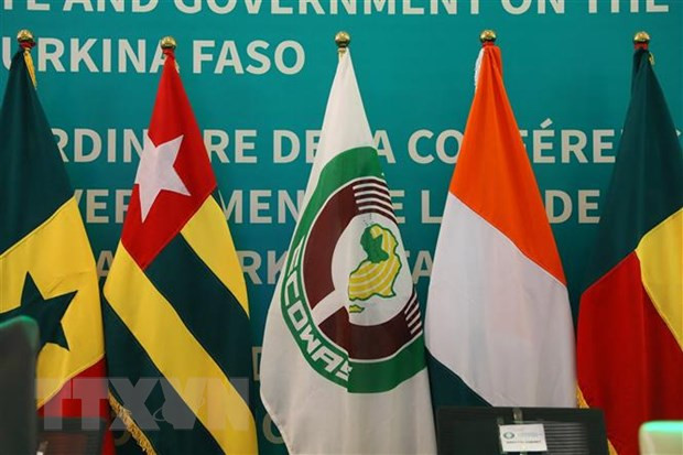 Quốc kỳ các quốc gia thành viên Cộng đồng Kinh tế Tây Phi (ECOWAS). (Ảnh: AFP/TTXVN) Quốc kỳ các quốc gia thành viên Cộng đồng Kinh tế Tây Phi (ECOWAS). (Ảnh: AFP/TTXVN)