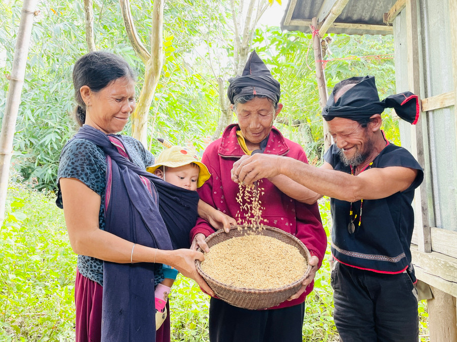 Người dân làng Mơ Hra-Đáp phấn khởi mừng lúa về đầy kho. Ảnh: Trần Dung Người dân làng Mơ Hra-Đáp phấn khởi mừng lúa về đầy kho. Ảnh: Trần Dung