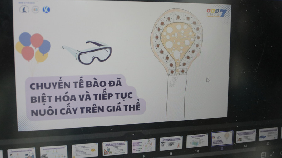 Mô hình giá thể được mô tả giống với nang tuyến vú do nhóm thiết kế. Ảnh: THƯỢNG HẢI