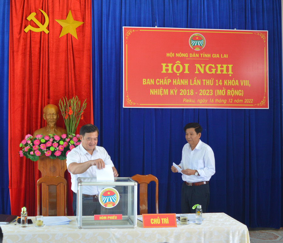 Các đại biểu bỏ phiếu bầu bổ sung Ủy viên Ban Chấp hành Hội khóa VIII