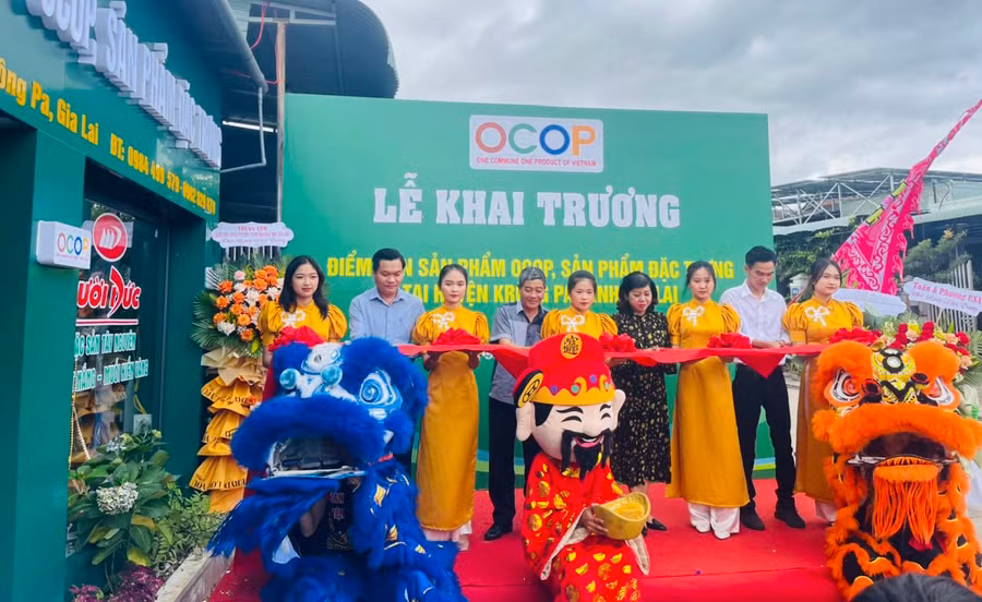 Đại diện các sở, ngành cùng chính quyền địa phương, hộ kinh doanh cắt băng khai trương điểm giới thiệu, bán sản phẩm OCOP. Ảnh: Vũ Chi