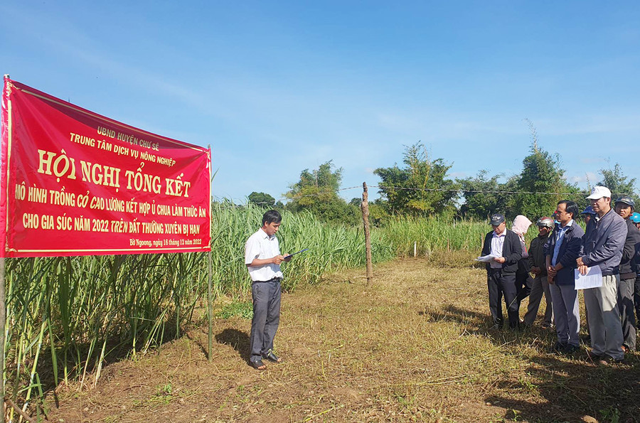 Quang cảnh hội nghị. Ảnh: Trúc Phùng Quang cảnh hội nghị. Ảnh: Trúc Phùng