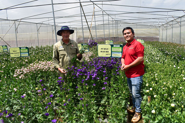 Sản xuất hoa công nghệ cao theo hướng thông minh tại Trang trại Phong Phú, thị trấn Thạnh Mỹ, huyện Đơn Dương. Ảnh nguồn Báo Lâm Đồng