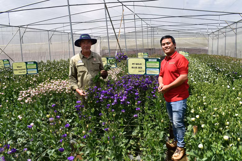 Sản xuất hoa công nghệ cao theo hướng thông minh tại Trang trại Phong Phú, thị trấn Thạnh Mỹ, huyện Đơn Dương. Ảnh nguồn Báo Lâm Đồng