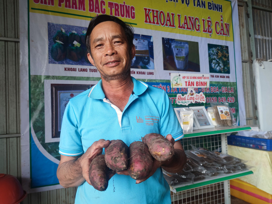 Khoai lang Lệ Cần nức tiếng thơm ngon. Ảnh: Thiên Di