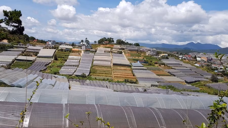 Đến năm 2030, khu vực nội ô Đà Lạt sẽ không còn nhà kính. Ảnh: Gia Bình