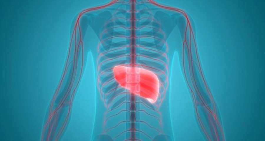 Ung thư gan hiếm khi xảy ra trước 40 tuổi. Ảnh: SHUTTERSTOCK