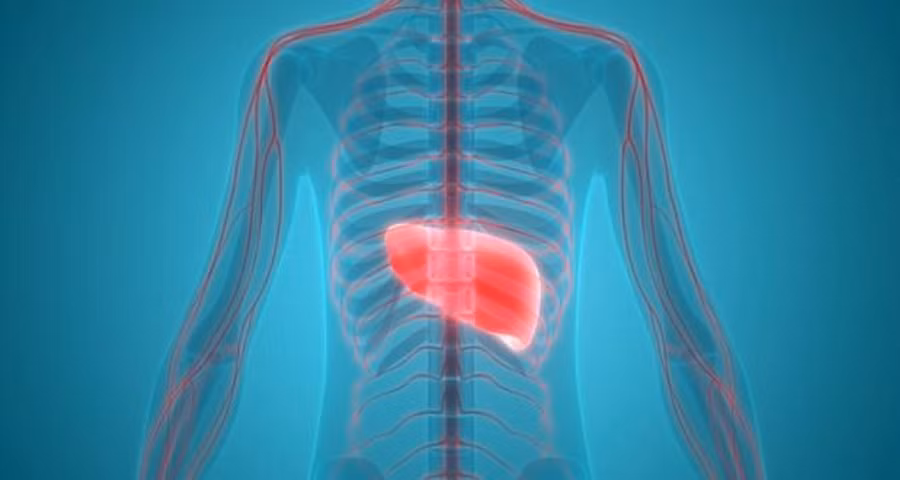 Ung thư gan hiếm khi xảy ra trước 40 tuổi. Ảnh: SHUTTERSTOCK