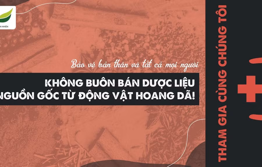 Không buôn bán dược liệu có nguồn gốc từ động vật hoang dã. (Nguồn: ENV cung cấp)