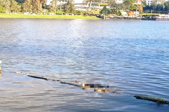 Hiện trường vụ phát hiện thi thể ông M. nổi trên hồ Xuân Hương - Đà Lạt.