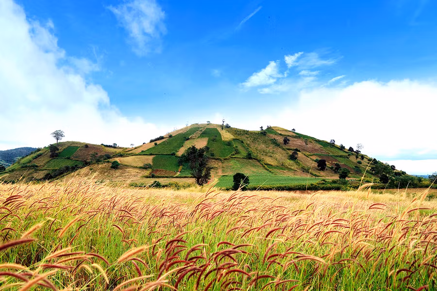  Ảnh minh họa: N.L.V.Q