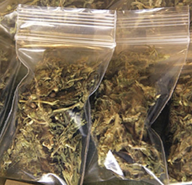 Canada thu giữ gần 2,5 tấn thuốc phiện ảnh 1