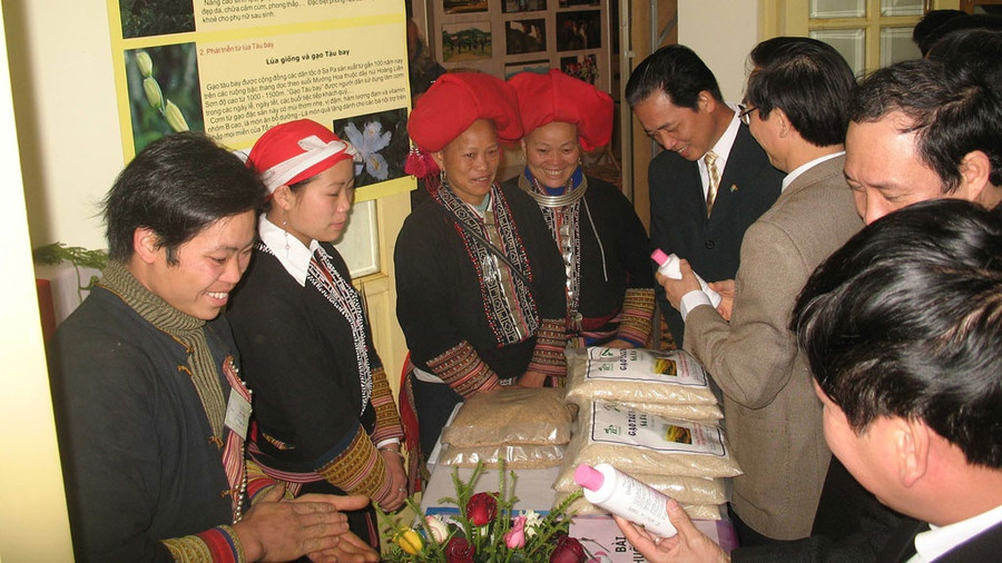 Bà Mẩy và anh Lở (bìa trái) trong buổi tiếp xúc với các nhà nghiên cứu thảo dược.