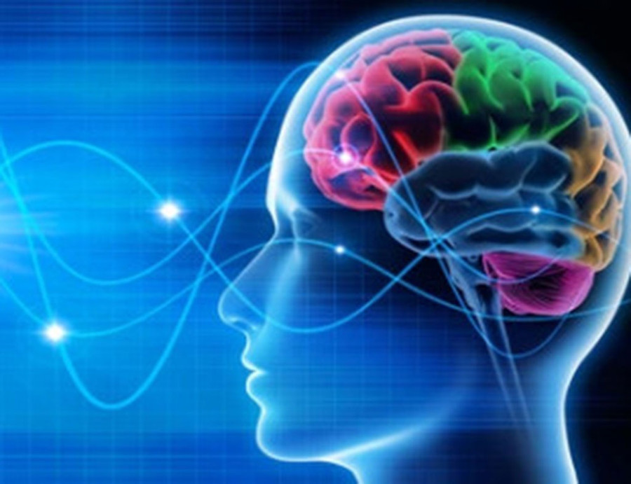 Nghiên cứu gần đây cho thấy ăn trứng có thể hỗ trợ chức năng não. Ảnh: Shutterstock