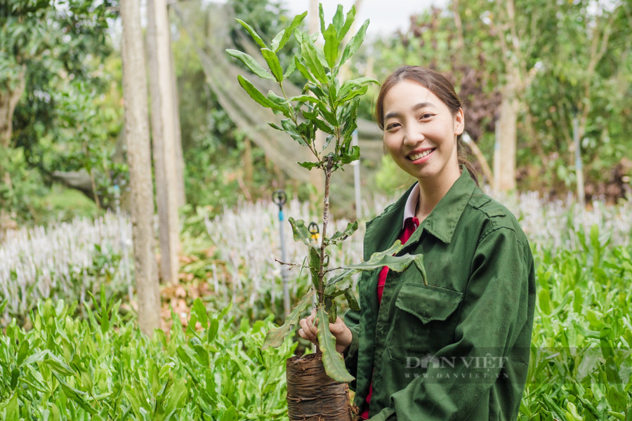 Nữ doanh nhân 9X Đắk Lắk Nguyễn Thị Thu Phương với hành trình đưa mắc ca Việt Nam ra thị trường quốc tế