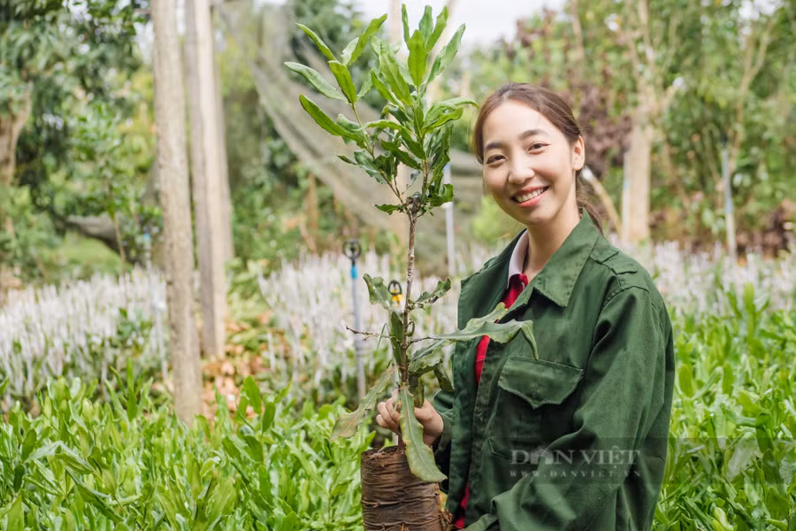 Nữ doanh nhân 9X Đắk Lắk Nguyễn Thị Thu Phương với hành trình đưa mắc ca Việt Nam ra thị trường quốc tế