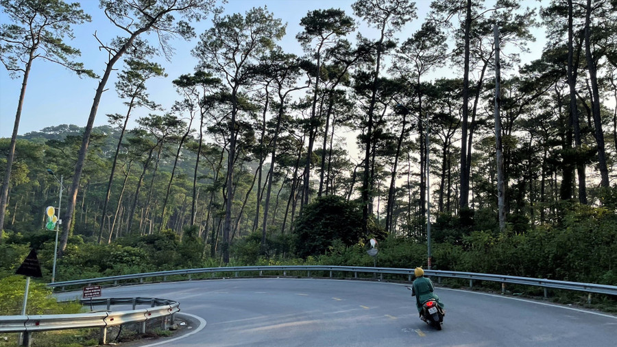 Tam Đảo - điểm du lịch của tỉnh Vĩnh Phúc, một trong những điểm đến núi non thơ mộng của cực Bắc Việt Nam. Ảnh: Phong Linh