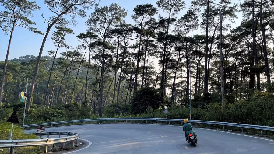 Tam Đảo - điểm du lịch của tỉnh Vĩnh Phúc, một trong những điểm đến núi non thơ mộng của cực Bắc Việt Nam. Ảnh: Phong Linh