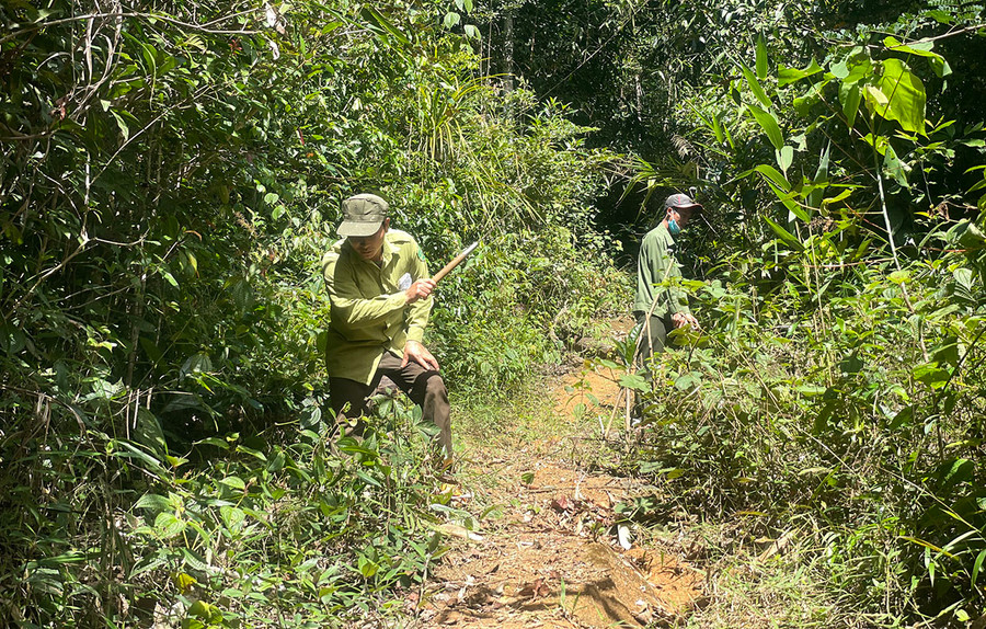  Tình trạng vi phạm lâm Luật tại Ban Quản lý rừng Đak Đoa giảm hơn 50% nhờ sự chung tay bảo vệ của người dân. Ảnh: Thiên Di