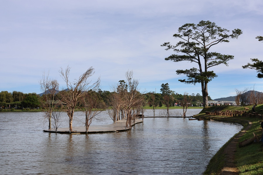 Du khách sẽ có cơ hội ngắm hồ Xuân Hương từ trên xe buýt mui trần. Ảnh: Lâm Viên Du khách sẽ có cơ hội ngắm hồ Xuân Hương từ trên xe buýt mui trần. Ảnh: Lâm Viên