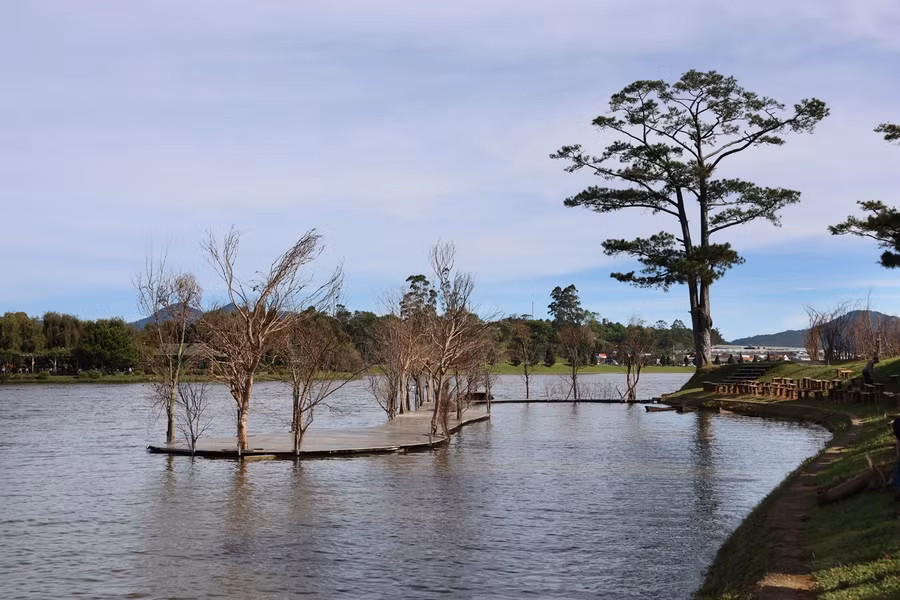  Du khách sẽ có cơ hội ngắm hồ Xuân Hương từ trên xe buýt mui trần. Ảnh: Lâm Viên