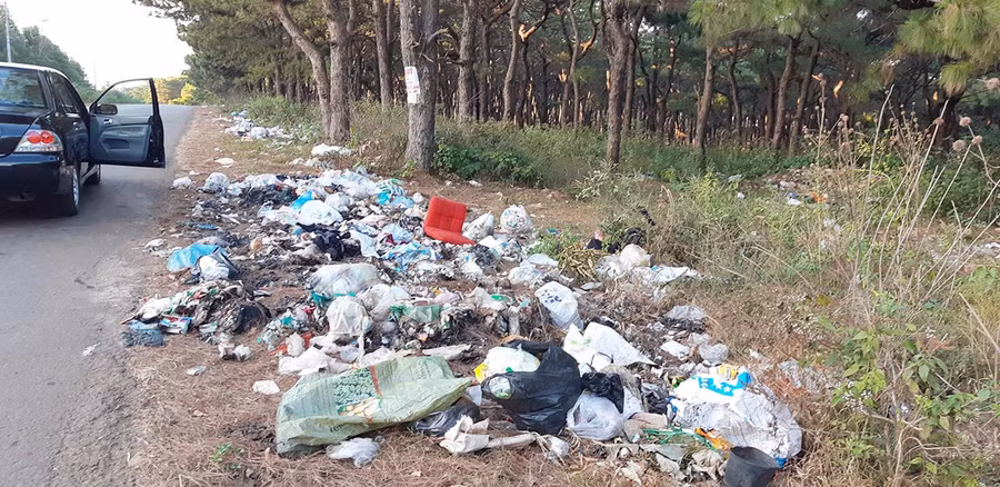 Ảnh: Duy Lê Ảnh: Duy Lê