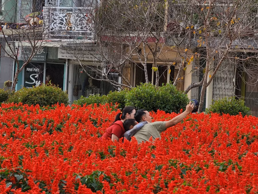 Cả nhà cùng nhau chụp ảnh trong vườn hoa xác pháo. Ảnh: Lâm Viên