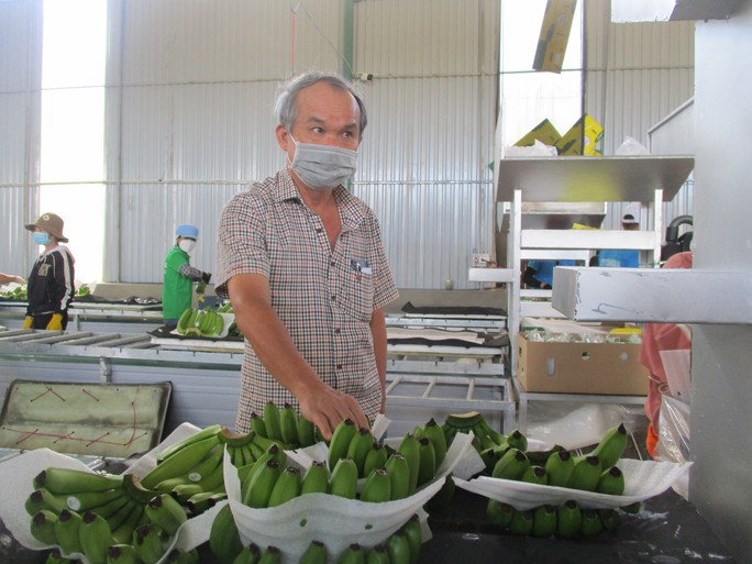 Bầu Đức thông báo đạt 99% kế hoạch lợi nhuận cả năm khi kết thúc tháng 11