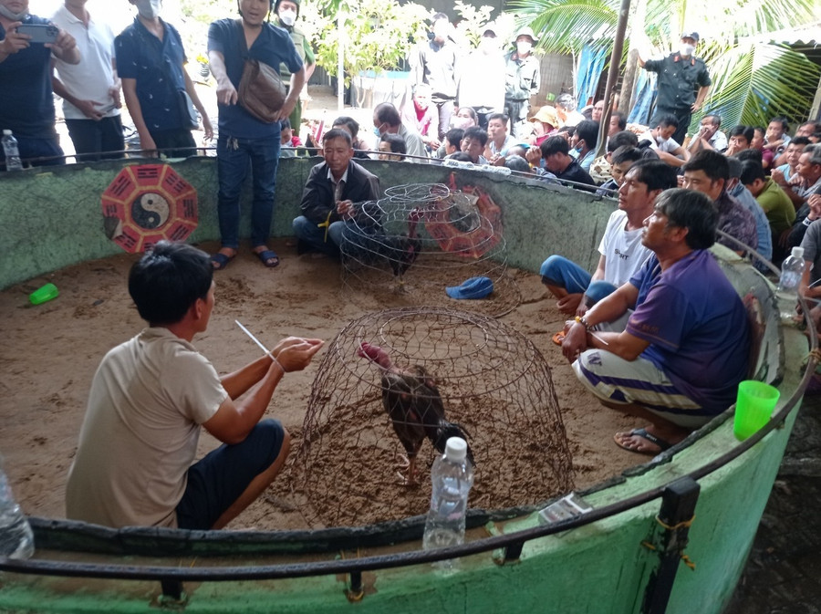 Bắt quả tang nhóm người đang đá gà ăn tiền. Ảnh: CACC Bắt quả tang nhóm người đang đá gà ăn tiền. Ảnh: CACC