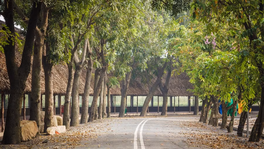 Không gian xanh mát tại khu du lịch. Ảnh: Du lịch sinh thái Thủy Châu