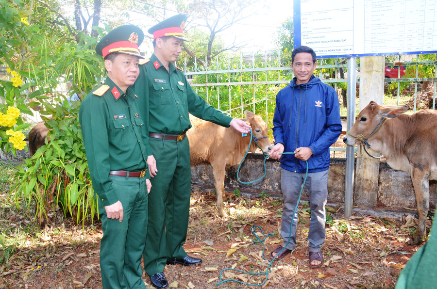 Lãnh đạo Công ty 72 trao bò hỗ trợ người dân. Ảnh Vĩnh Hoàng