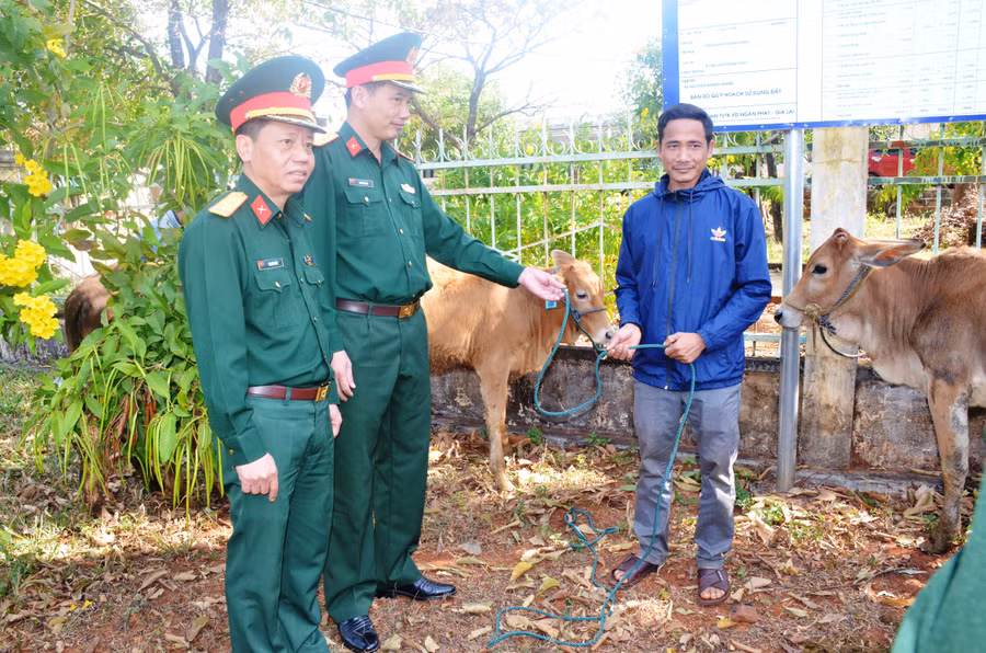 Lãnh đạo Công ty 72 trao bò hỗ trợ người dân. Ảnh Vĩnh Hoàng