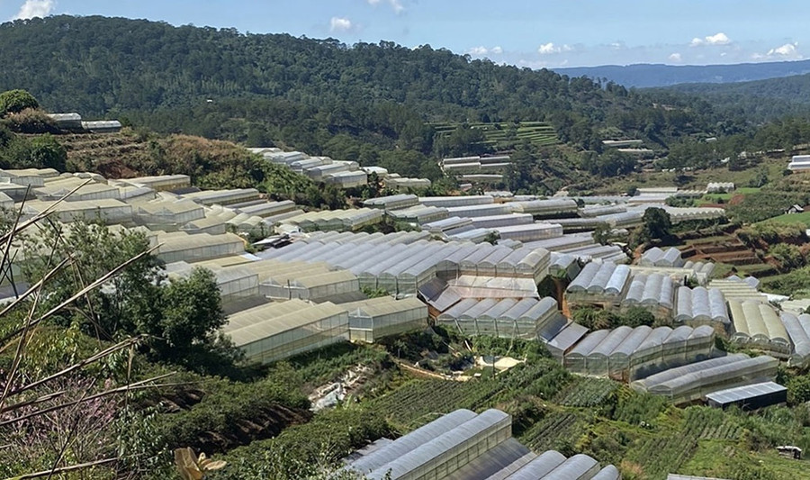 Cần phải có giải pháp để quản lý và kiểm soát nhà kính. Ảnh: Gia Bình 