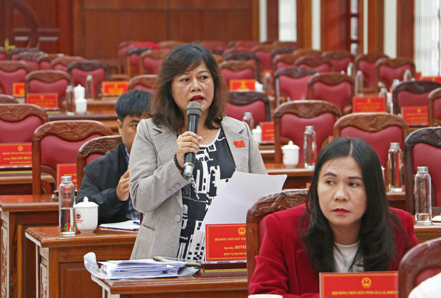 Đại biểu Đinh Ly An-Phó Trưởng ban Pháp chế HĐND tỉnh ý kiến về công tác cải cách hành chính. Ảnh: Quang Tấn