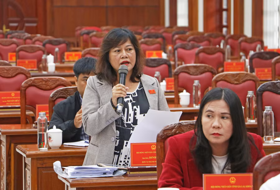 Đại biểu Đinh Ly An-Phó Trưởng ban Pháp chế HĐND tỉnh ý kiến về công tác cải cách hành chính. Ảnh: Quang Tấn