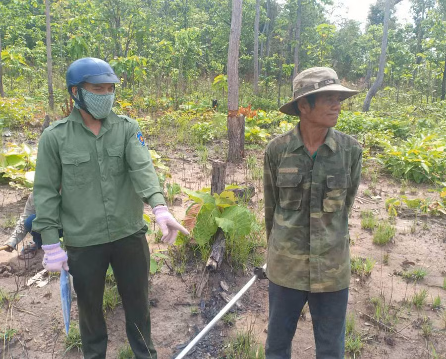 Lực lượng chức năng phát hiện vụ xâm lấn rừng tại xã Ia Mơr (huyện Chư Prông). Ảnh: Hạ Vy