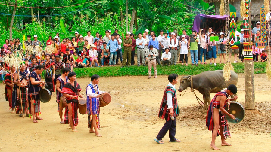 Riêng với đồng bào Cơ Tu ở Tây Giang, nghi thức đâm trâu đã không còn được tổ chức từ 6 năm qua. Ảnh: Hoàng Sơn