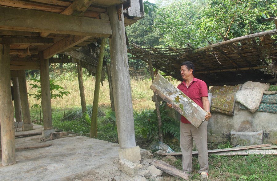  Ông Vi Văn Danh và khúc gỗ nhà sàn của gia đình ông bị voi rừng quật gãy. Ảnh: K.HOAN