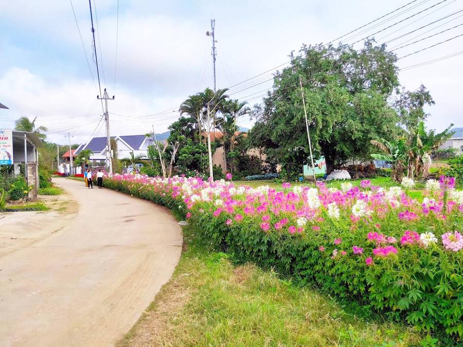 Nhiều tuyến đường ở xã Tân An (huyện Đak Pơ) đã được tô điểm bởi màu sắc rực rỡ của các loại hoa trồng hai bên đường. Ảnh: Nhật Hào Nhiều tuyến đường ở xã Tân An (huyện Đak Pơ) đã được tô điểm bởi màu sắc rực rỡ của các loại hoa trồng hai bên đường. Ảnh: Nhật Hào