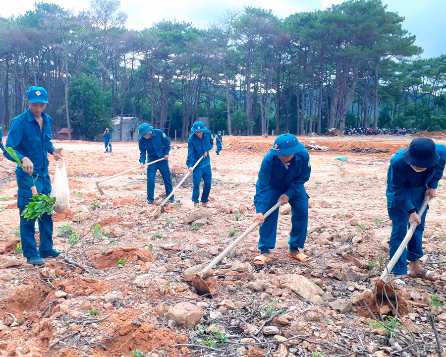 Cán bộ, chiến sỹ LLVT thị xã An Khê tổ chức trồng rừng tại thao trường huấn luyện Ban CHQS thị xã An Khê. Ảnh: Mai Ka