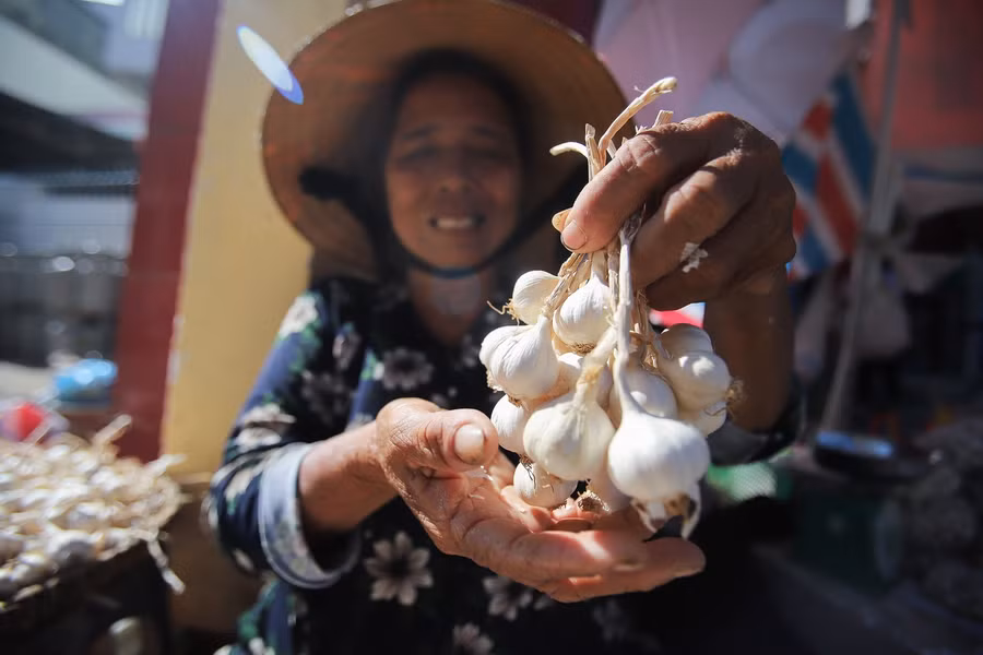 Không ít lần chúng ta có những chiến dịch giải cứu tỏi, nhưng hàng năm vẫn chi hàng chục, hàng trăm USD nhập tỏi từ Trung Quốc. Ảnh: Đăng Huỳnh