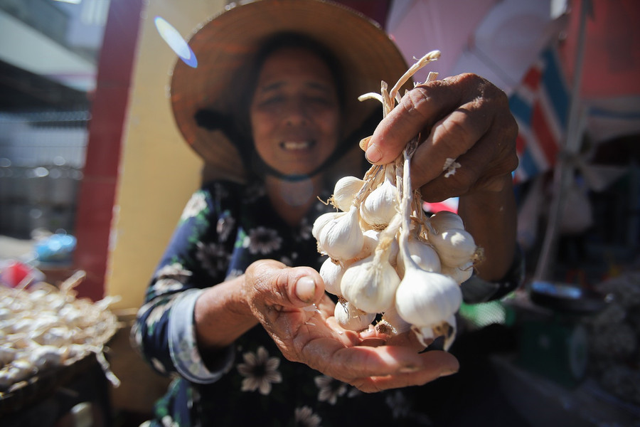 Không ít lần chúng ta có những chiến dịch giải cứu tỏi, nhưng hàng năm vẫn chi hàng chục, hàng trăm USD nhập tỏi từ Trung Quốc. Ảnh: Đăng Huỳnh